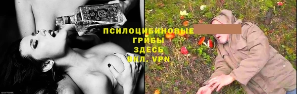 трава Алзамай