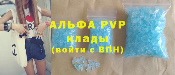 стаф Алексин