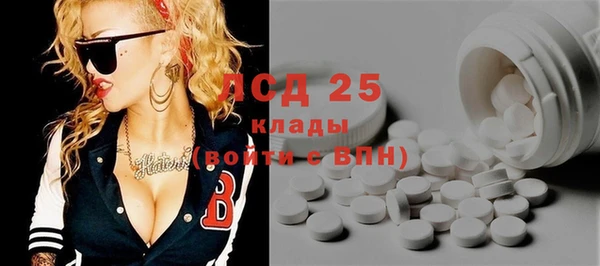 стаф Алексин