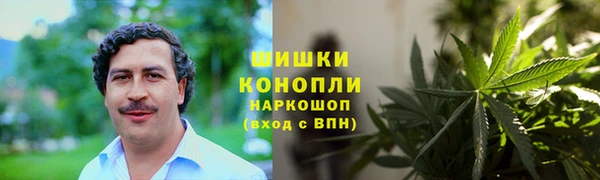 трава Алзамай