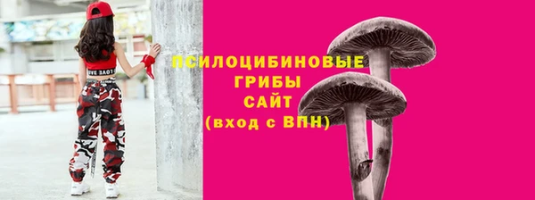 твердый Алексеевка