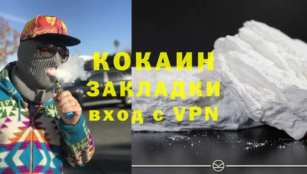 стаф Алексин