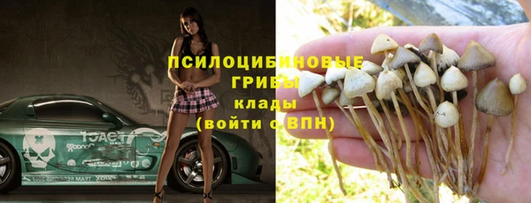 тгк Абаза