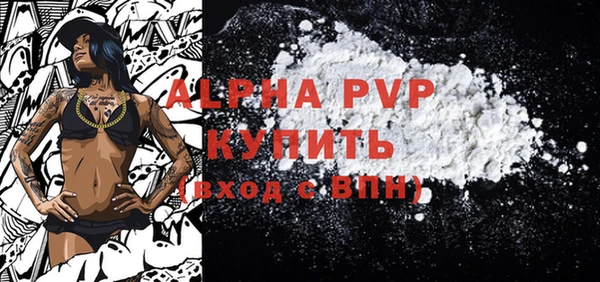 стаф Алексин