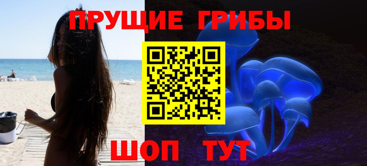Псилоцибиновые грибы мицелий Губкин